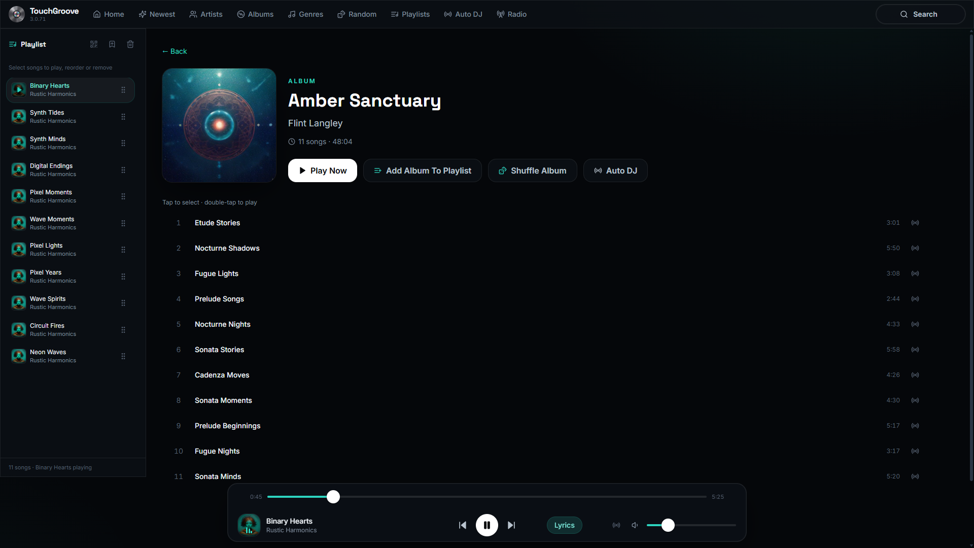 Album detail with play and shuffle